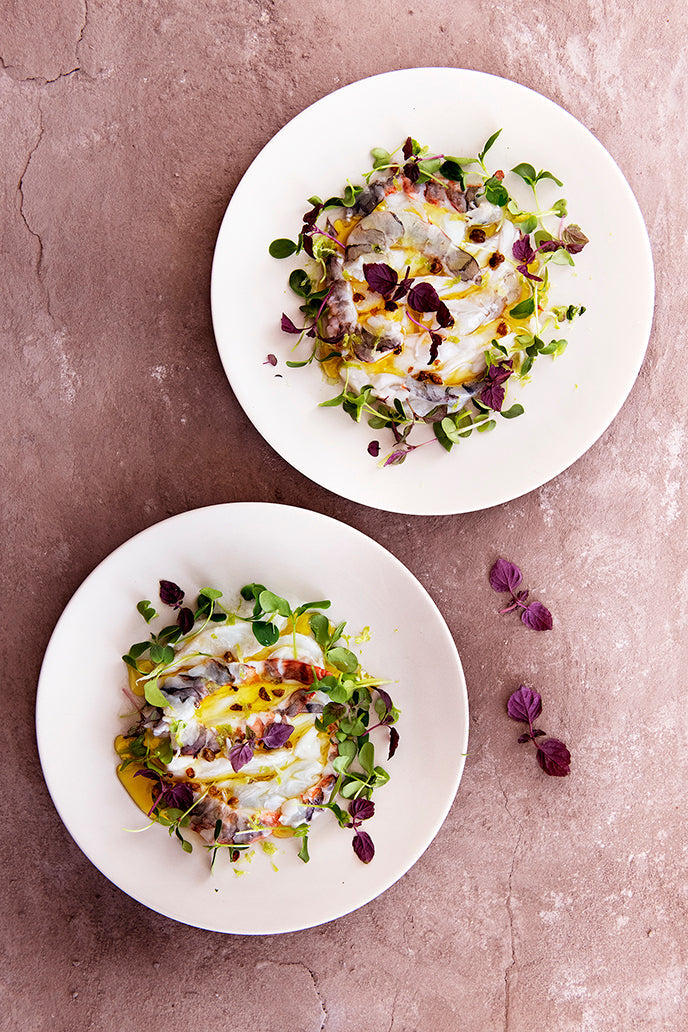 CEVICHE