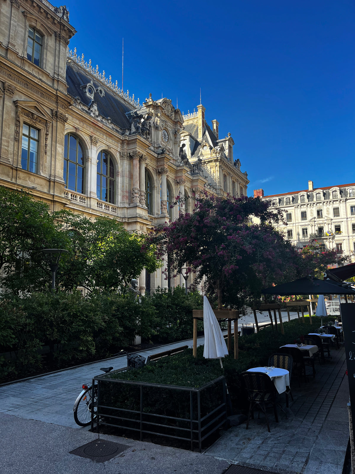 LYON